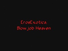 Blowjob Heaven Thumb