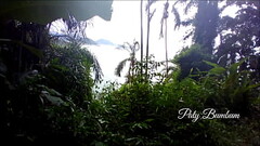 J&aacute_ assistiu o filme &quot_ A lagoa azul &quot_ Paty Bumbum - Alex Lima.  Completo No Red Thumb